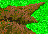 mountain_edge_03.png