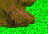 mountain_edge_04.png